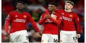 星空体育真人娱乐全攻略